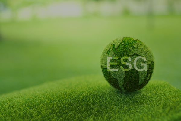 ESG.png